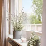 Casa Aguila - * Viernheim